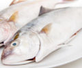 Trancio di ricciola alle erbe