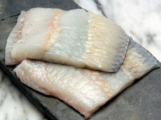filetti di rombo